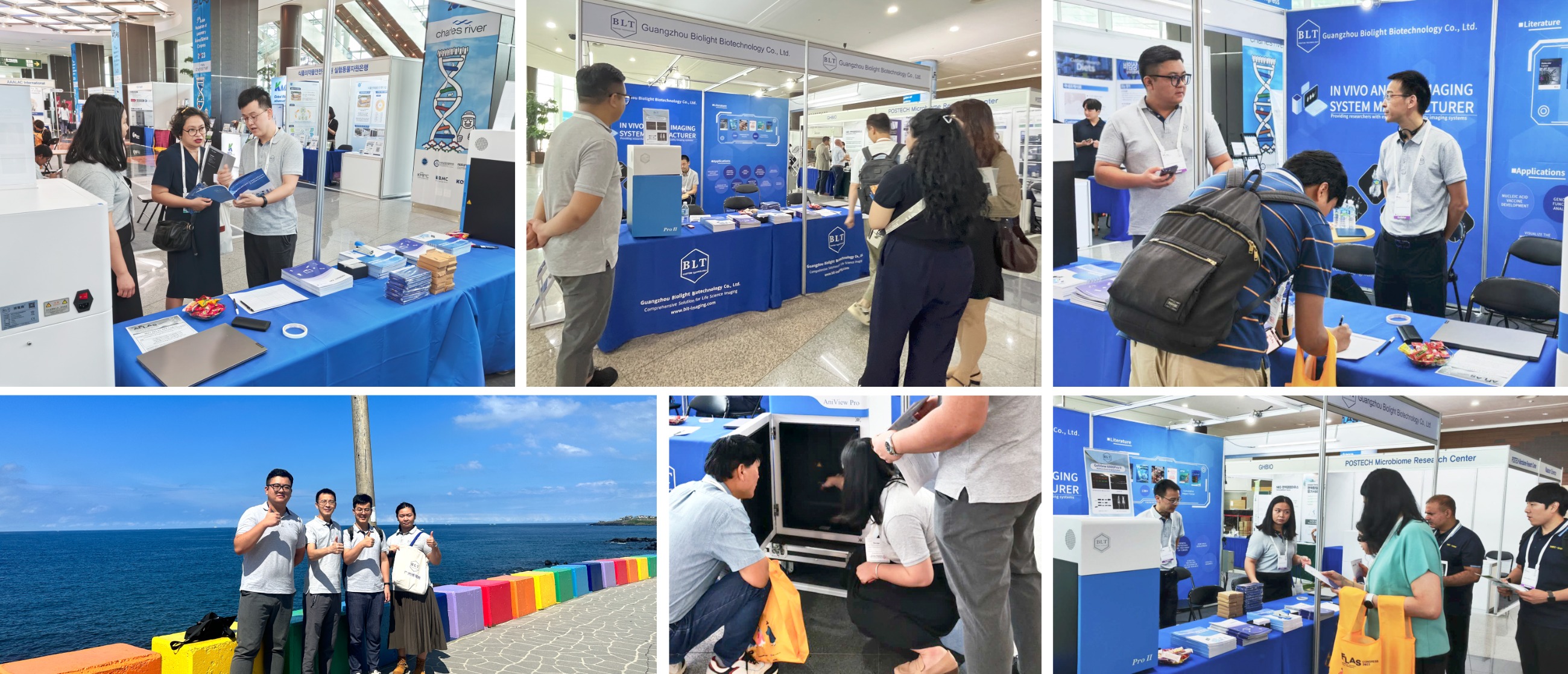 博鷺騰亮相AFLAS 博鷺騰亮相AFLAS