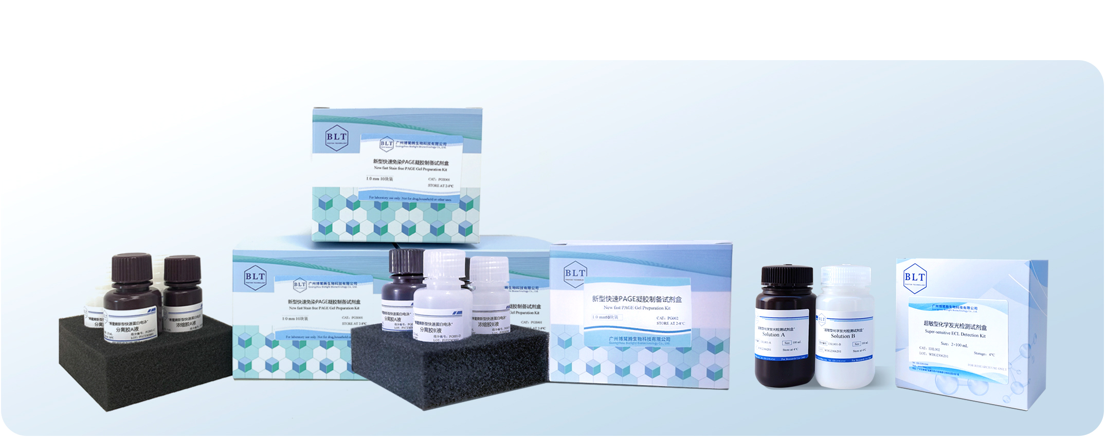 博鷺騰WB系列試劑產(chǎn)品