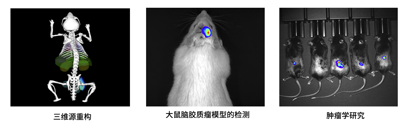 博鷺騰AniView Kirin 系列小動物活體三維成像系統(tǒng) 博鷺騰AniView Kirin 系列小動物活體三維成像系統(tǒng)
