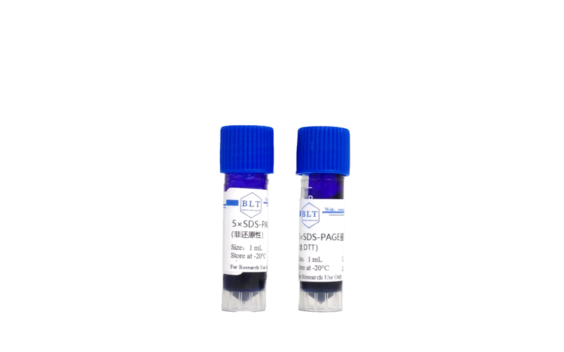 5×SDS-PAGE 蛋白上樣緩沖液（非還原性）