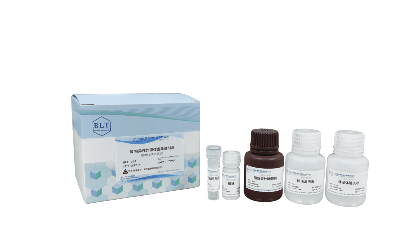 膜特異性外泌體富集試劑盒（細(xì)胞上清磁珠法）