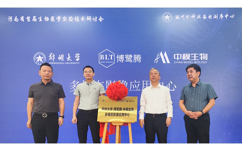 挺進(jìn)中原！