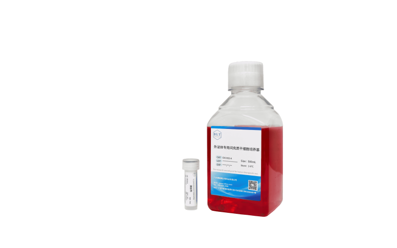 外泌體專用間充質(zhì)干細(xì)胞培養(yǎng)基