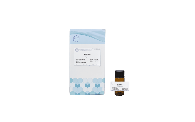 膠原酶IV（Collagenase IV）