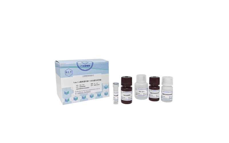 Tubulin 超快速內(nèi)參一步法顯色試劑盒